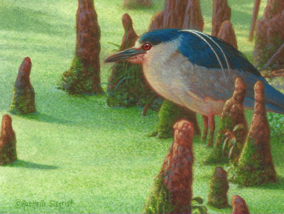 Miniature Painting of a Black-crowned Night Heron by Rachelle Siegrist