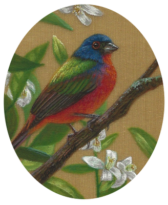 Miniature Painting of a Painted Bunting by Rachelle Siegrist