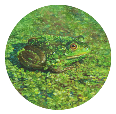 Fish and Reptile Paintings by Wes and Rachelle Siegrist