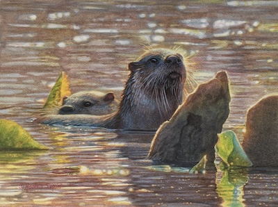 Miniature painting of otters by Rachelle Siegrist