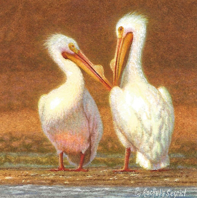 Miniature Painting of White Pelicans by Rachelle Siegrist