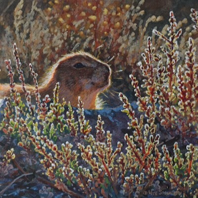 Miniature painting of a Prairie Dog by Wes Siegrist