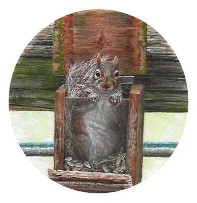 painting of a grey squirrel by Wes Siegrist