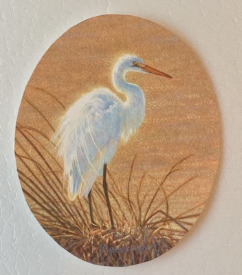 Miniature Painting of a great egret by Rachelle Siegrist