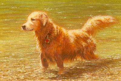 painting of a Golden Retriever by Rachelle Siegrist