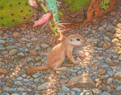 watercolor wildlife painting of a sonoran roundtable ground squirrel by Rachelle Siegrist