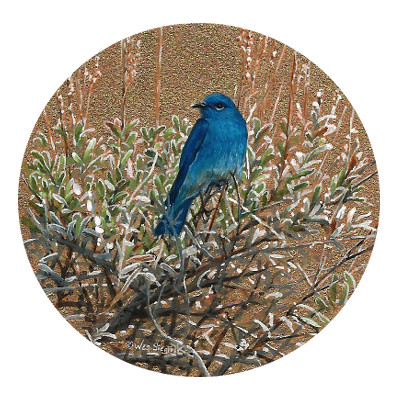Miniature Painting of a Mountain Bluebird by Wes Siegrist