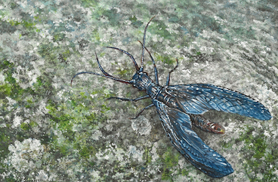 Wildlife Painting by Wes Siegrist