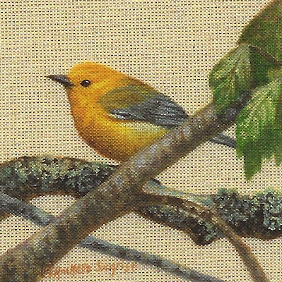 miniature painting of a Prothonotary Warbler by Rachelle Siegrist