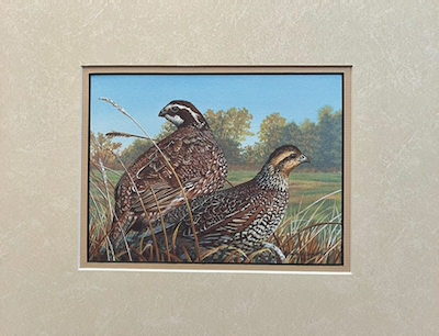 Reproduction of a painting of Bobwhite Quails by Rachelle Siegrist