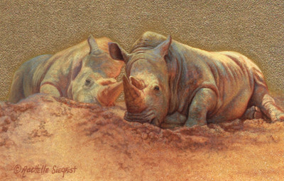 painting of Rhinos by Rachelle Siegrist