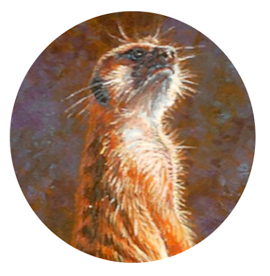 painting of a Meerkat by Wes Siegrist
