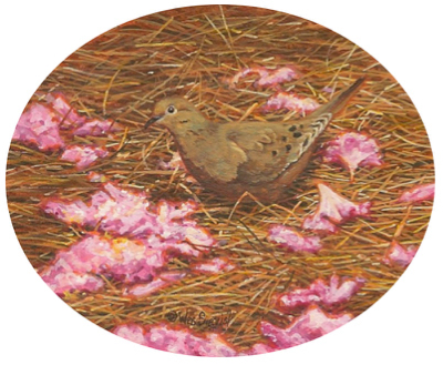 Miniature Painting of a Morning Dove by Wes Siegrist