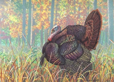 Reproduction of a painting of Turkey by Rachelle Siegrist