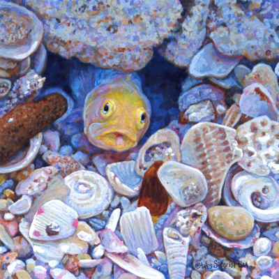 miniature wildlife painting of a yellow-headed jawfish by Wes Siegrist
